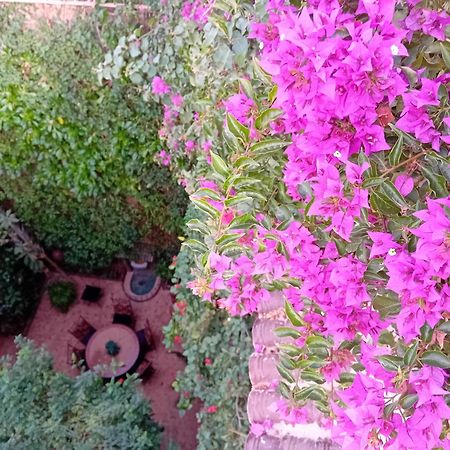 Riad Lumieres Du Sud Marrakesh Eksteriør bilde