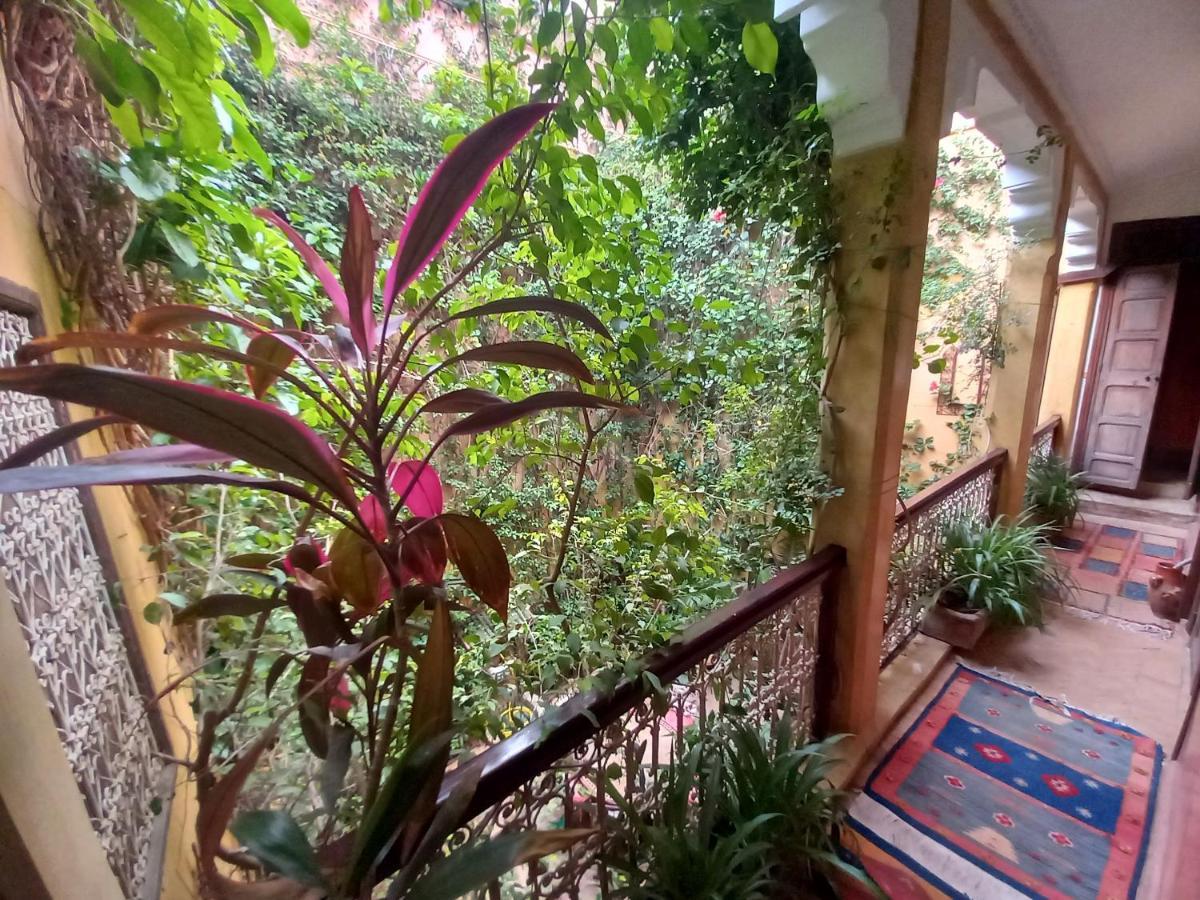 Riad Lumieres Du Sud Marrakesh Eksteriør bilde