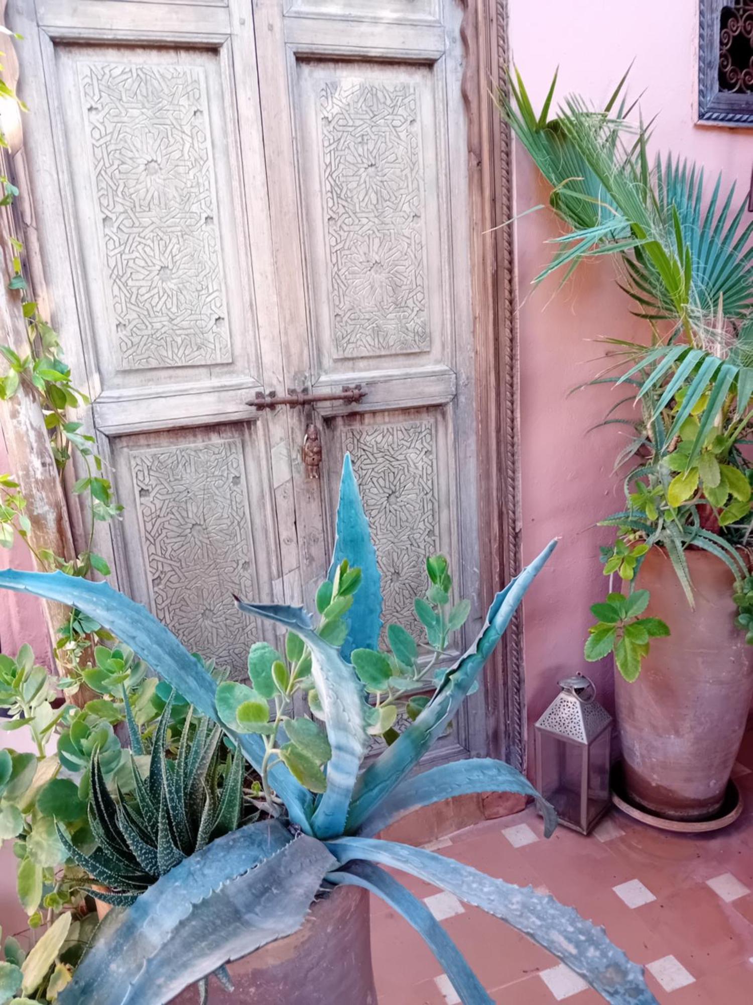 Riad Lumieres Du Sud Marrakesh Eksteriør bilde