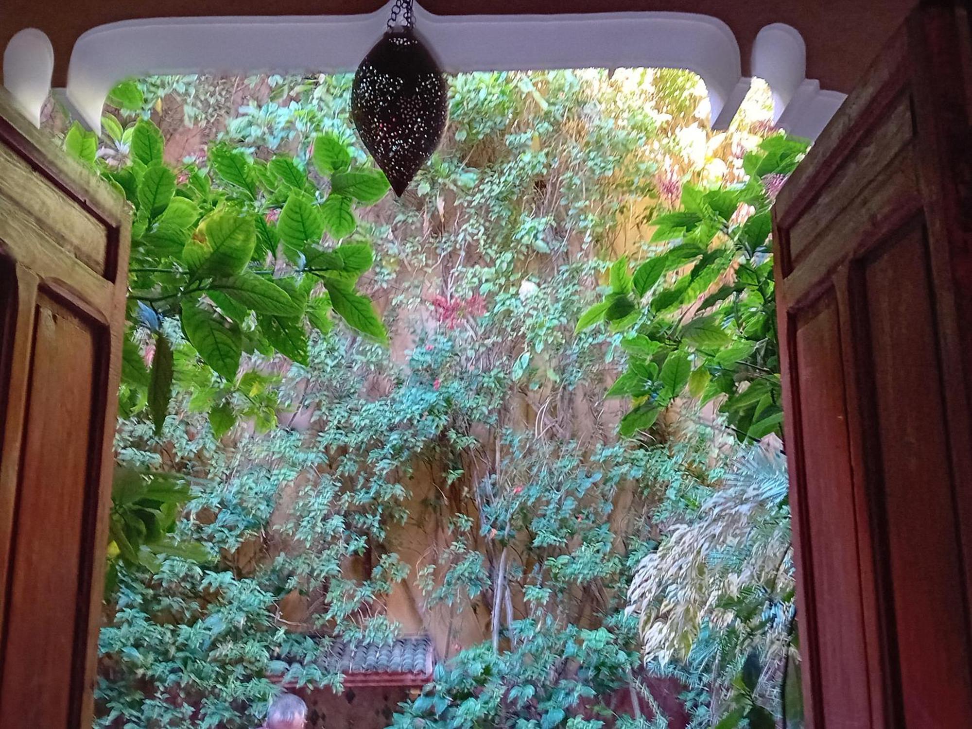 Riad Lumieres Du Sud Marrakesh Eksteriør bilde