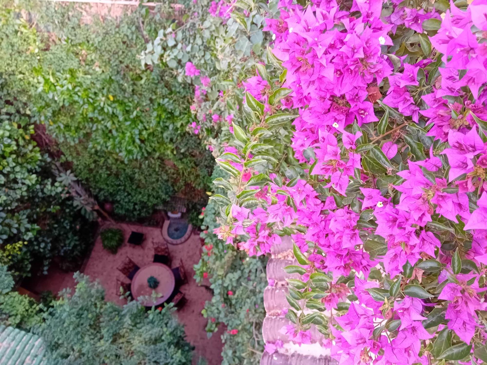 Riad Lumieres Du Sud Marrakesh Eksteriør bilde